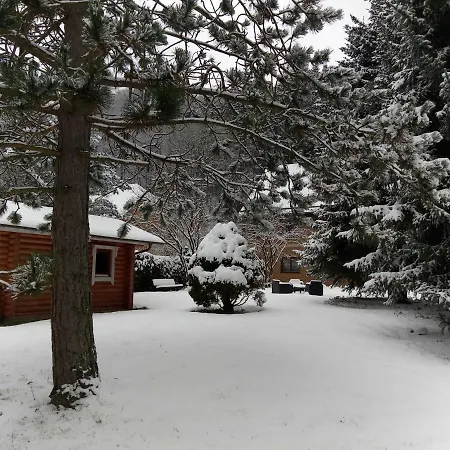 Haus Am Wolfsbach 公寓