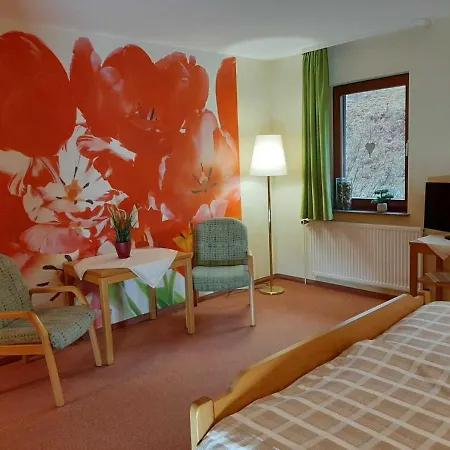 Haus Am Wolfsbach * Zorge