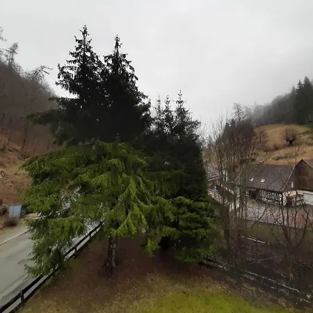 Haus Am Wolfsbach Apartment